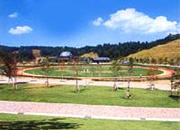 中央広場