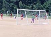 ソフトボール2面またはサッカー1面